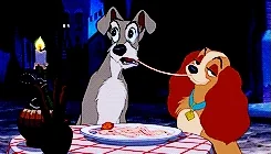 alady-n-tramp.webp